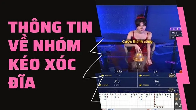 Thông tin về nhóm kéo xóc đĩa